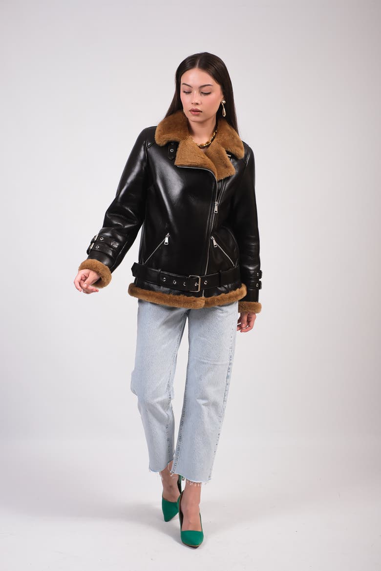 Shearling Aviator Jacket, Alternate, color, Brown