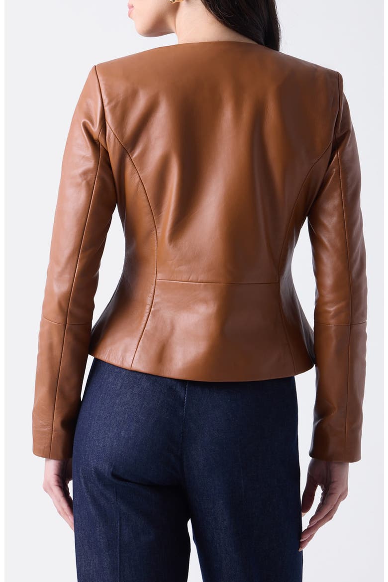 Cara Leather Jacket, Alternate, color, BROWN