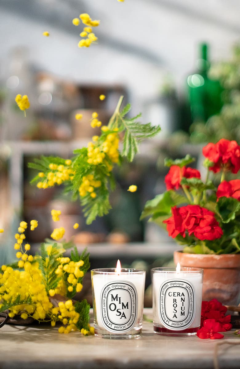 Diptyque Mimosa Scented Candle, Alternate, color,