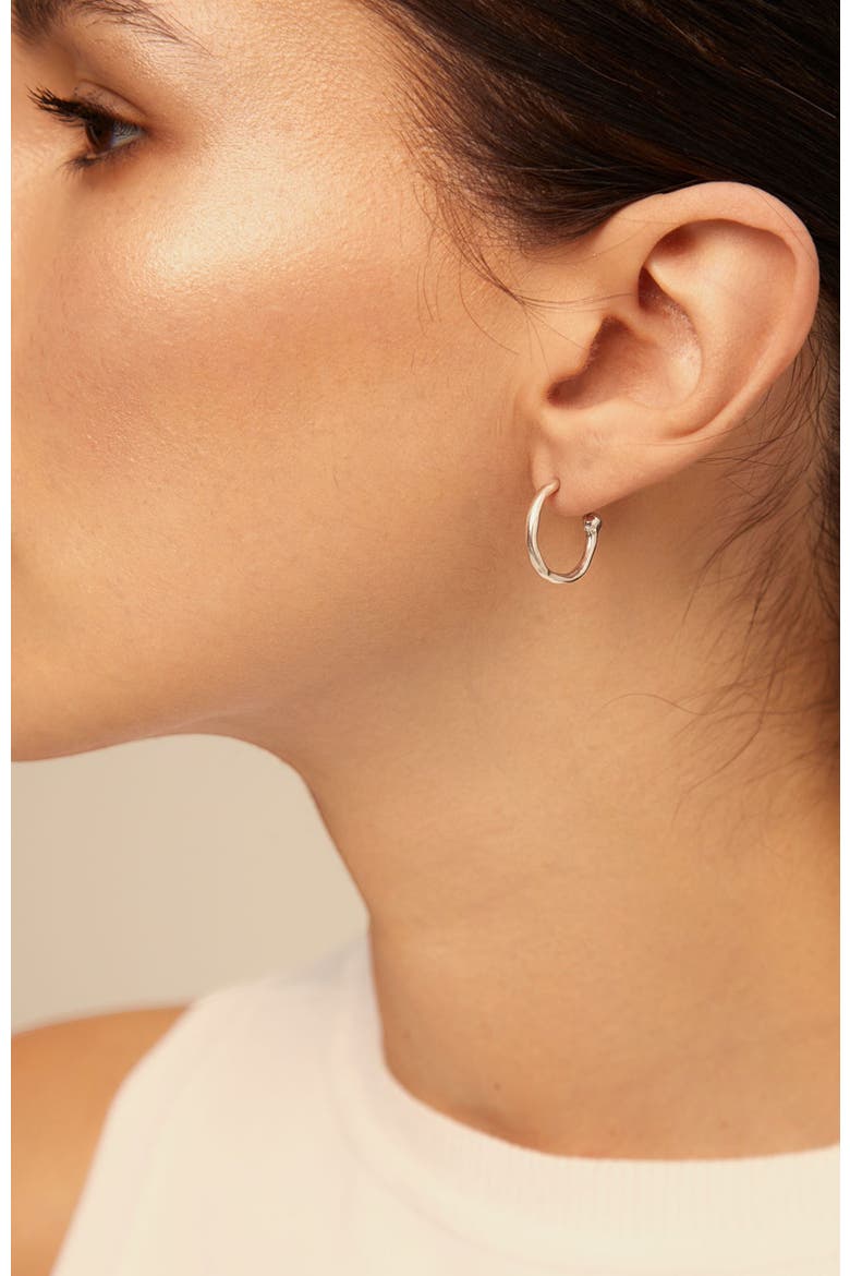 Hoop Shaped Earrings, Alternate, color, Silver