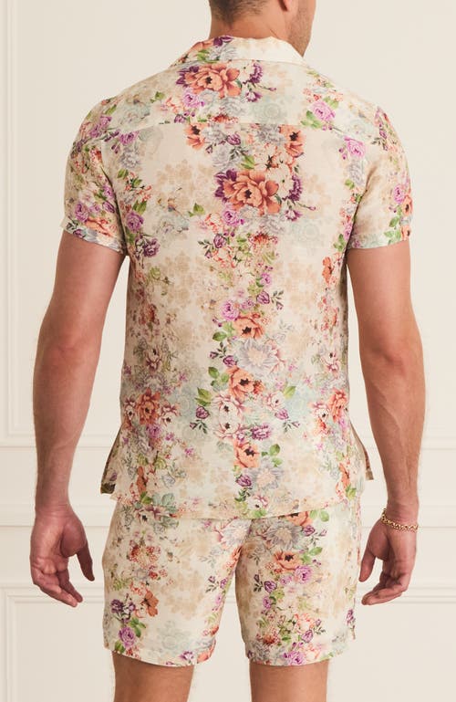 Aqua Blu Cascade Collar Jean Short Sleeve Shirt In White