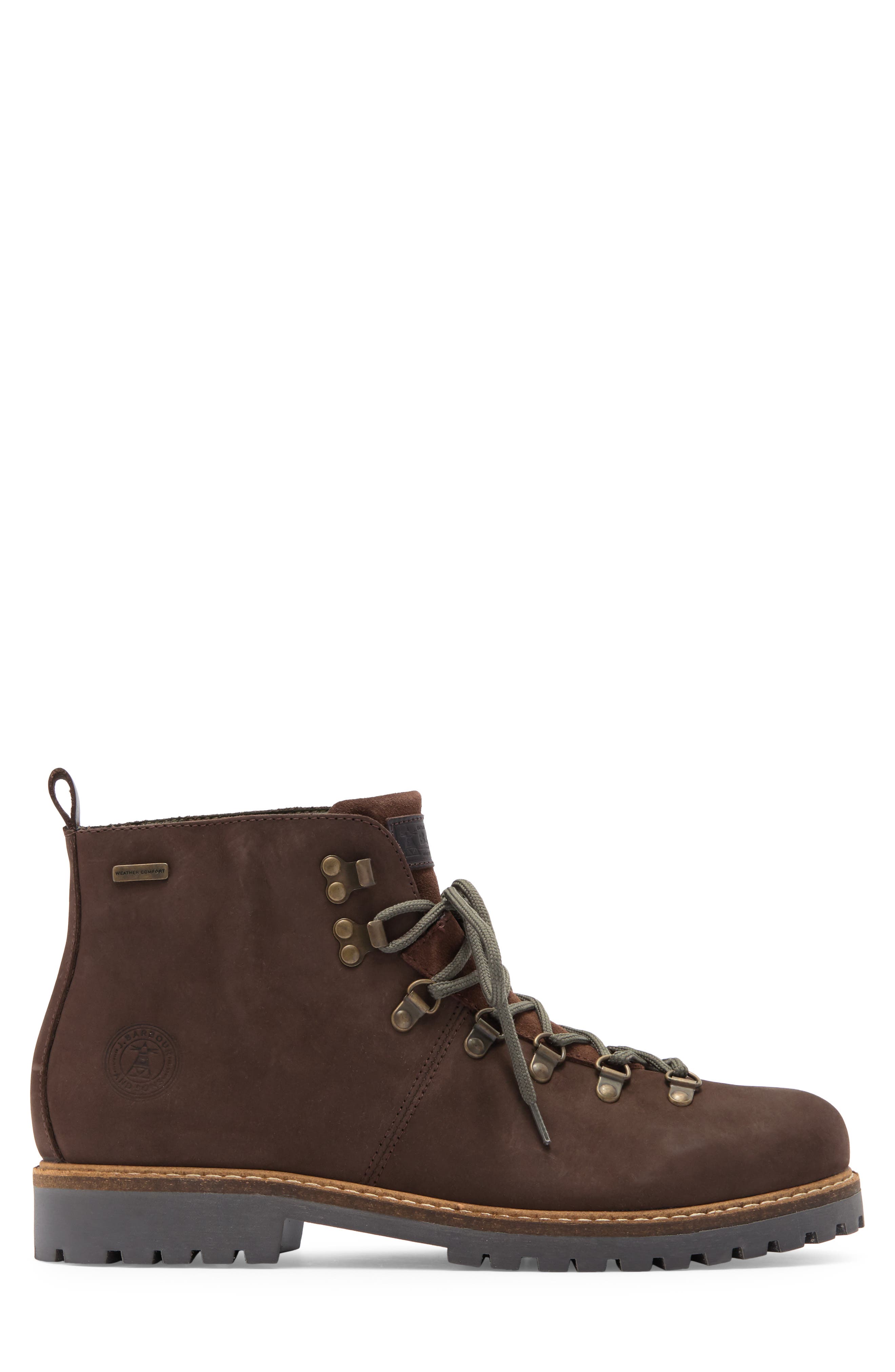 Wainwright Hiking Boot, Alternate, color, CHOCOLATE