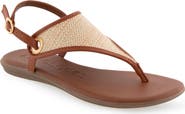 Aerosoles Conclusion Slingback Sandal