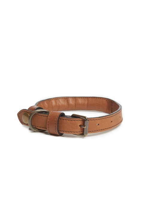 Gordon Leather Dog Collar - MD