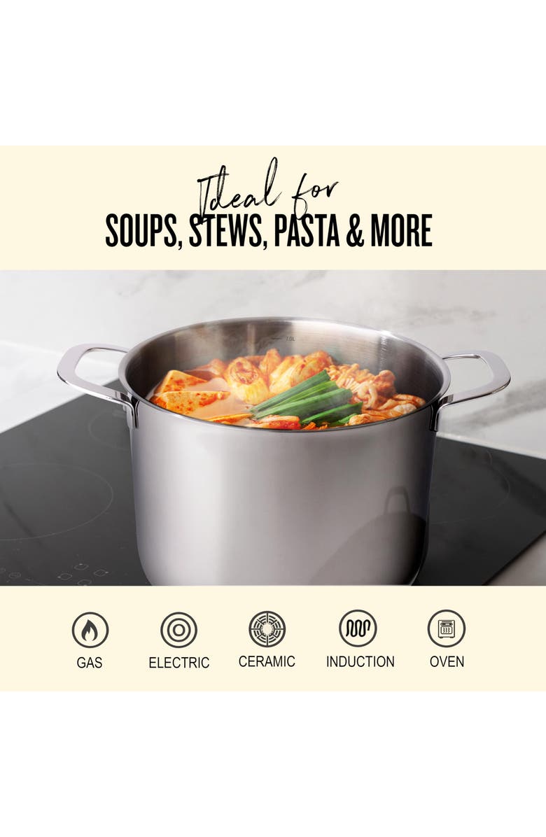 Alva Maestro stainless steel stockpot, Alternate, color, Silver 8Qt