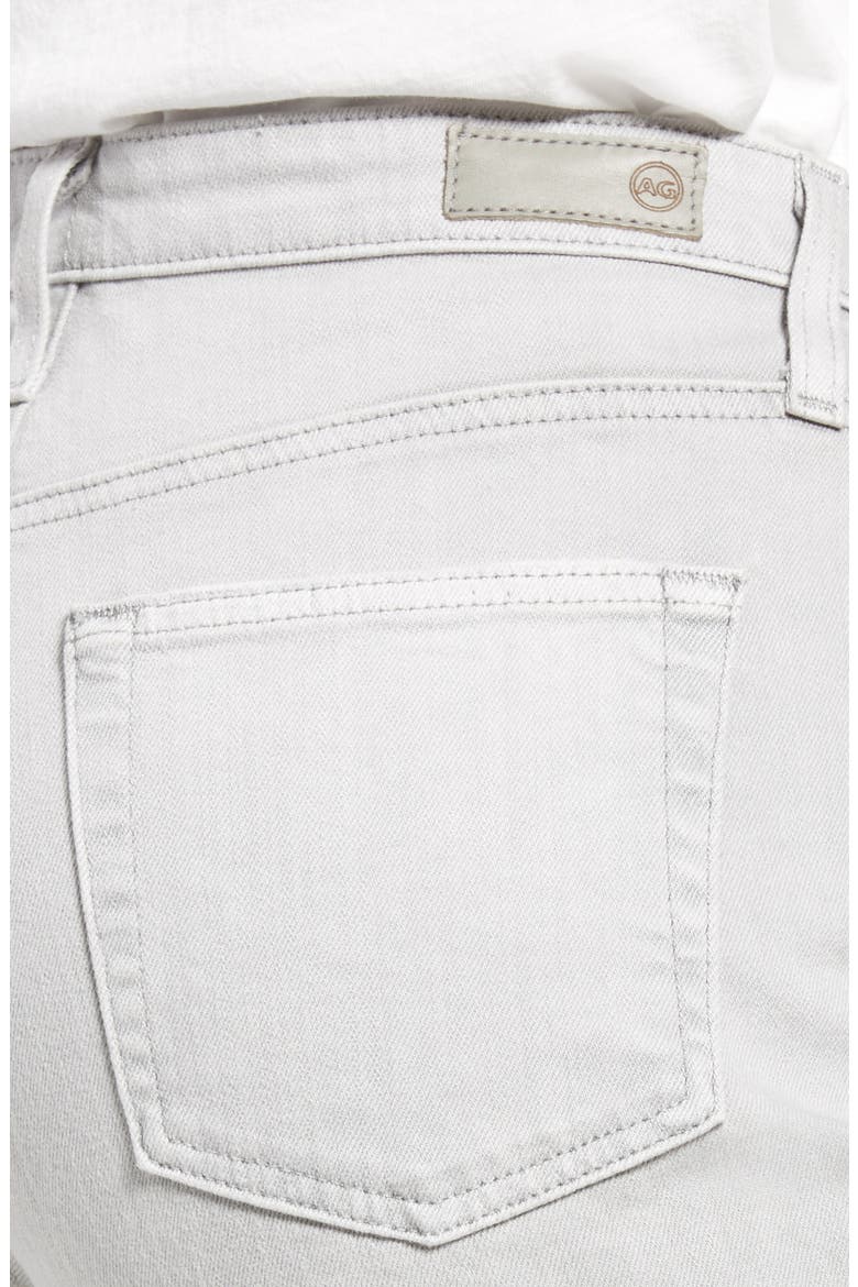 Alexxis High Waist Straight Leg Jeans, Alternate, color, EARTH PIGMENT L