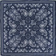 Lost Pattern "Paisley" Silk Bandana Scarf