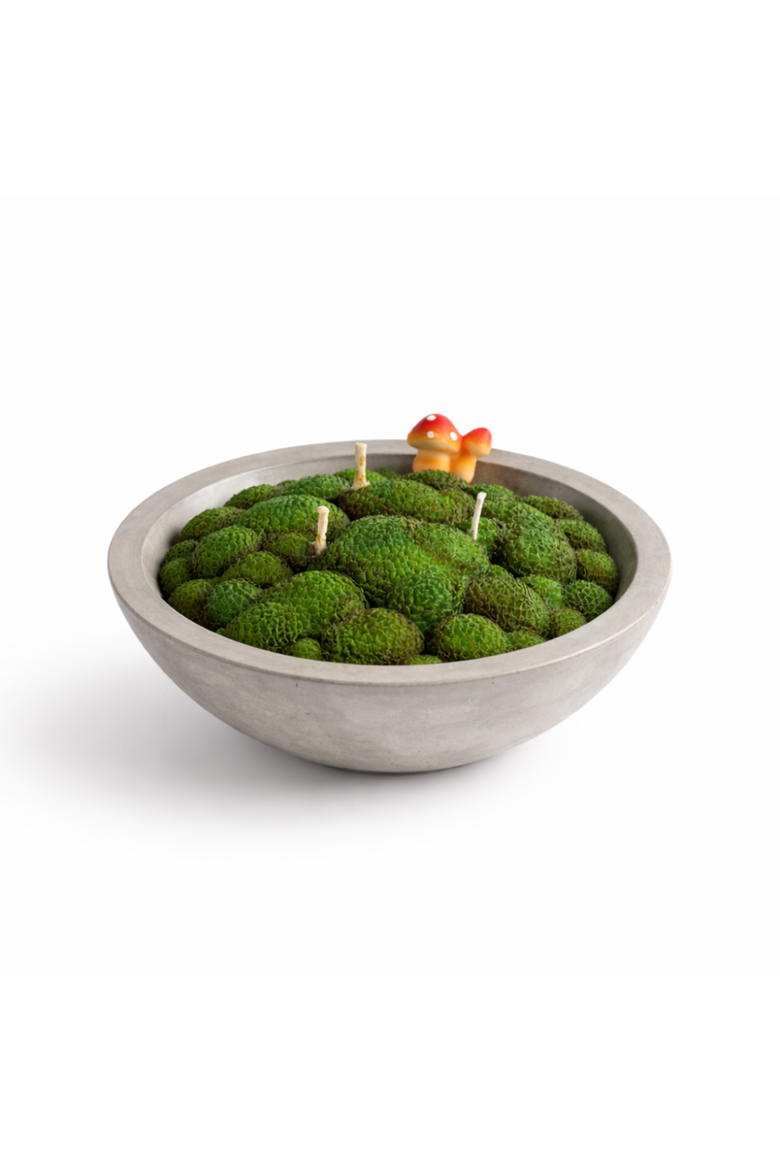 Forest Moss Candle Bowl, Main, color, Grass Moss
