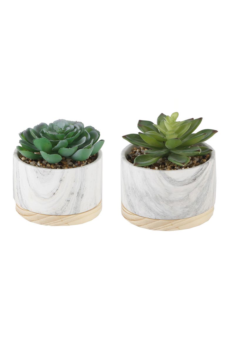 Marble Artificial Succulent - Set of 2, Main, color, WHITE