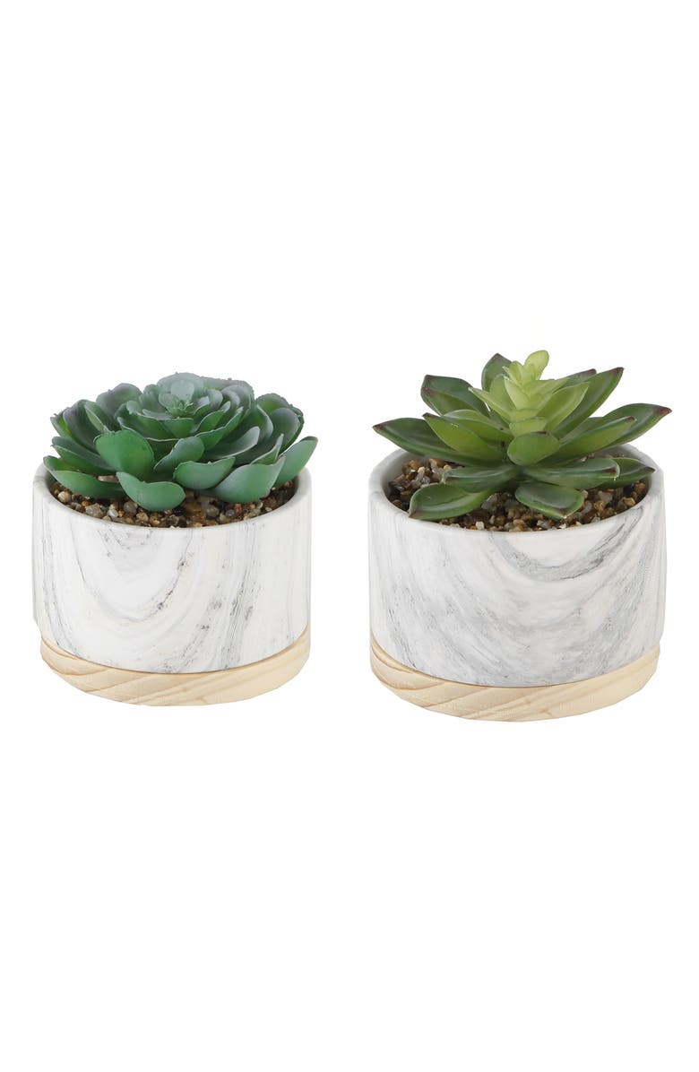 FLORA BUNDA Marble Artificial Succulent - Set of 2, Main, color, White