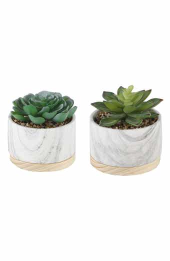 FLORA BUNDA Marble Artificial Succulent - Set of 2