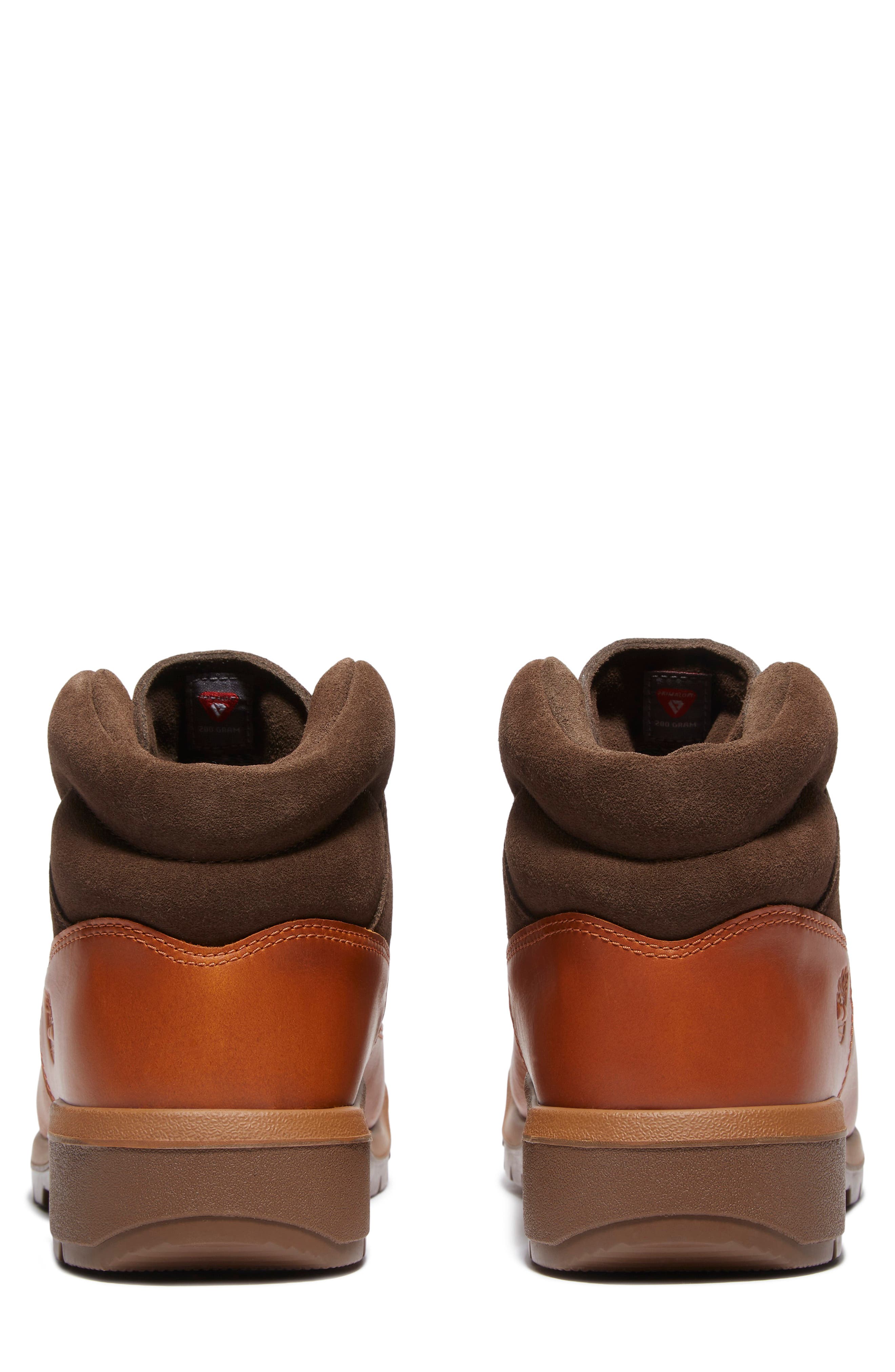 Timberland Field Gore-Tex<sup>®</sup> Waterproof Mid Boot, Alternate, color, Medium Brown Full Grain