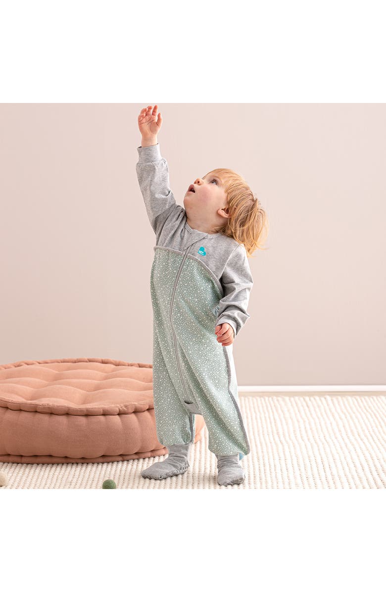 LOVE TO DREAM 1.0 TOG Long Sleeve Sleep Suit, Alternate, color, 