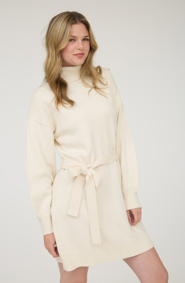 AUGUST SKY Long Sleeve Turtleneck Sweater Minidress, Alternate, color, Oatmeal
