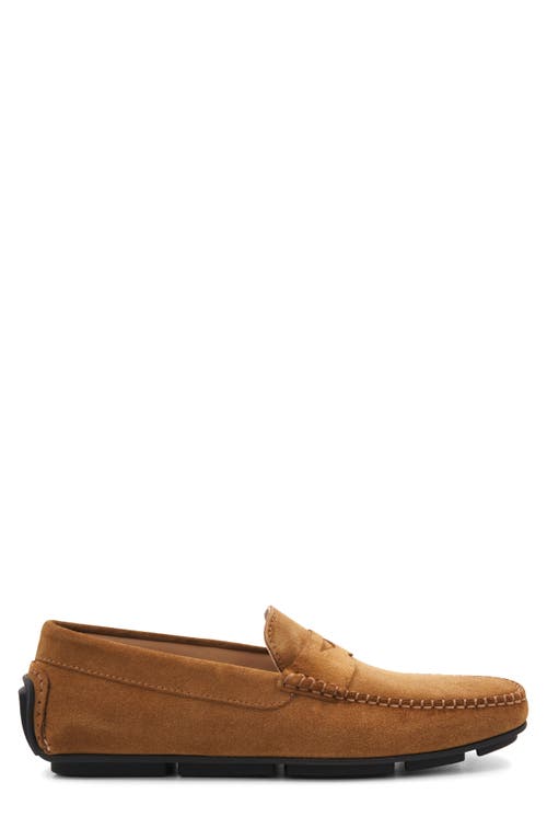 Bruno Magli Taranto Penny Loafer In Cognac Suede