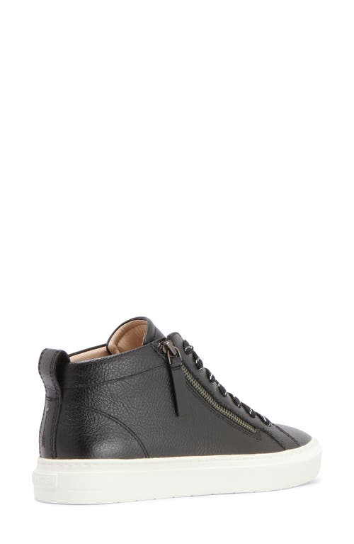 Frankie4 Morgan Mid Top Sneaker In Black