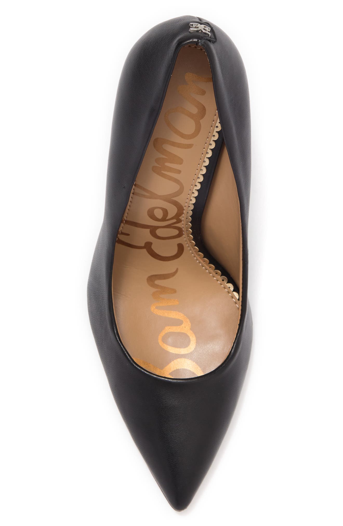 Sam Edelman Danna Pointed Toe Pump, Alternate, color, 