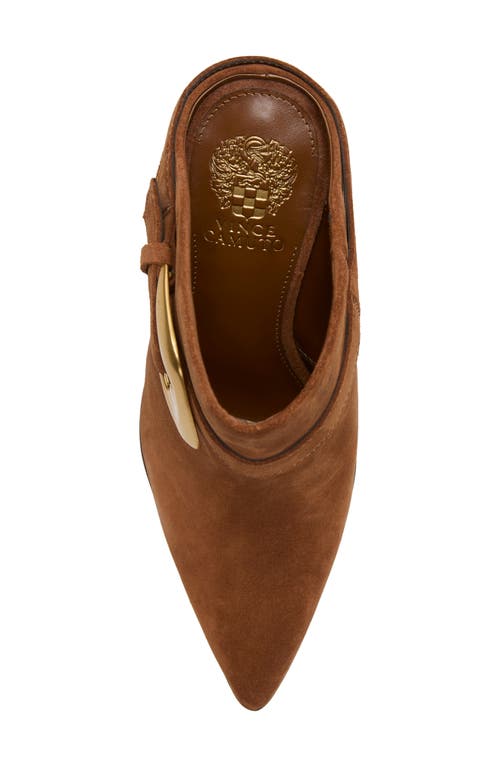 Vince Camuto Bailey Pointed Toe Mule