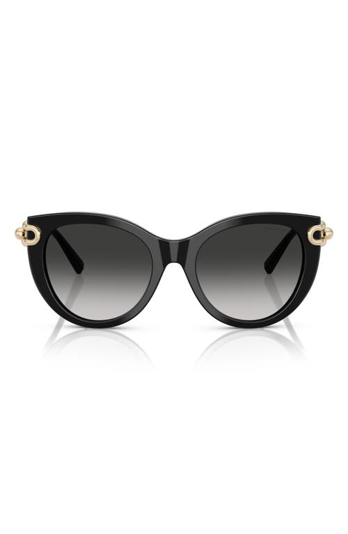 Tiffany & Co . 53mm Gradient Butterfly Sunglasses In Black