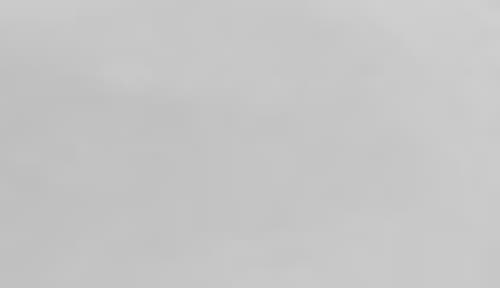 Ella Jayne Home 2" Loft 100% Cotton Plush Gel Fiber Filled Queen Mattress Topper In White