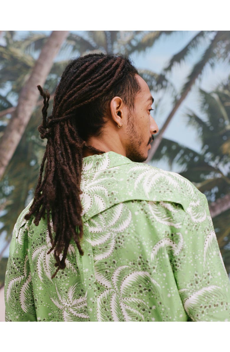 Tombolo Palm Fronds, Alternate, color, Green