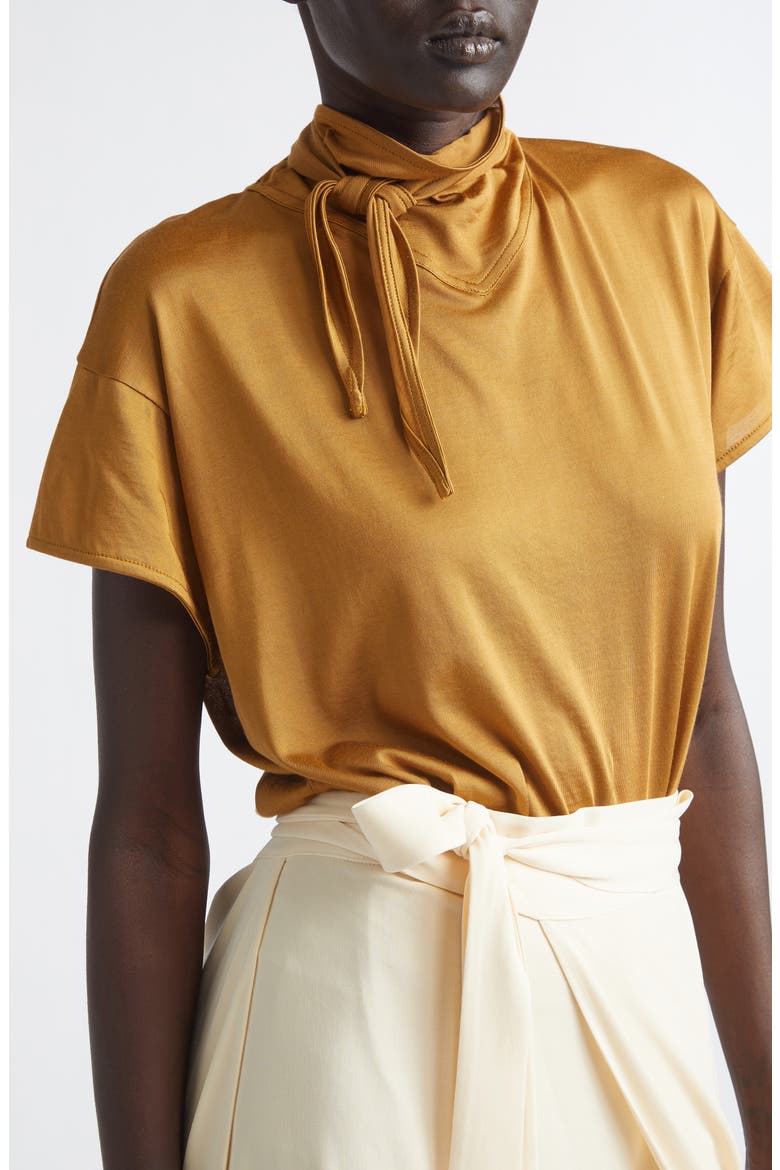 Scarf Neck Jersey Top, Alternate, color, CINNAMON BROWN