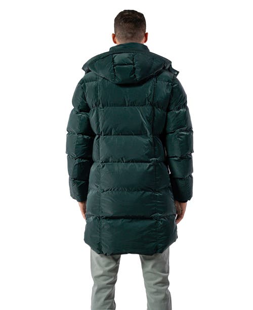 Woodpecker Penguin Long Length Quilted Coat In Green