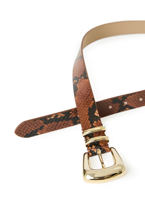 B-low The Belt Milan Python Print Leather Belt In Gold