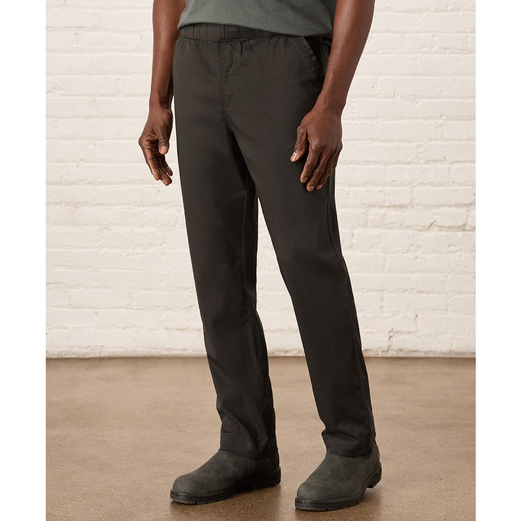 Pact Organic Cotton Daily Twill Midweight Pant In Oak