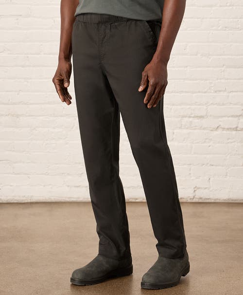 Pact Organic Cotton Daily Twill Midweight Pant In Oak
