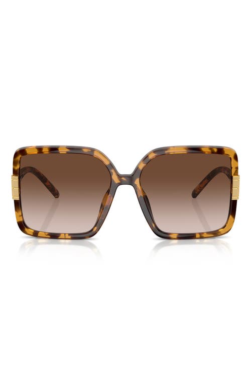 Tory Burch 57mm Gradient Square Sunglasses in Tortoise at Nordstrom