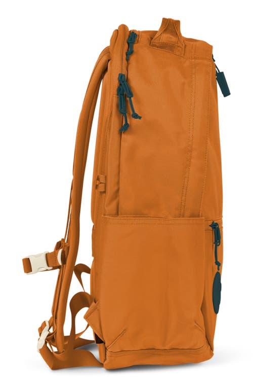 Baboon To The Moon City Water Repellent Backpack In Brown