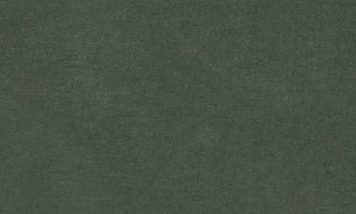 Jojo Maman Bébé Jojo Maman Bebe Kids' Roar Dinosaur Appliqué Cotton Joggers In Brown