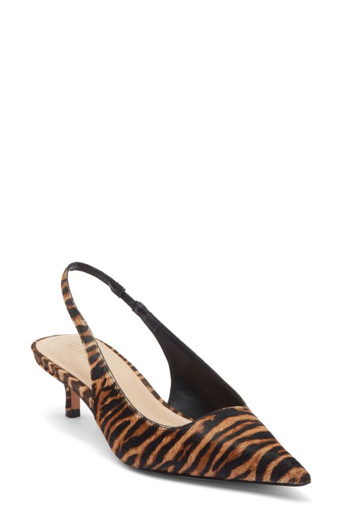 Steve Madden Kittie Slingback Pointed Toe Kitten Heel Pump In Brown
