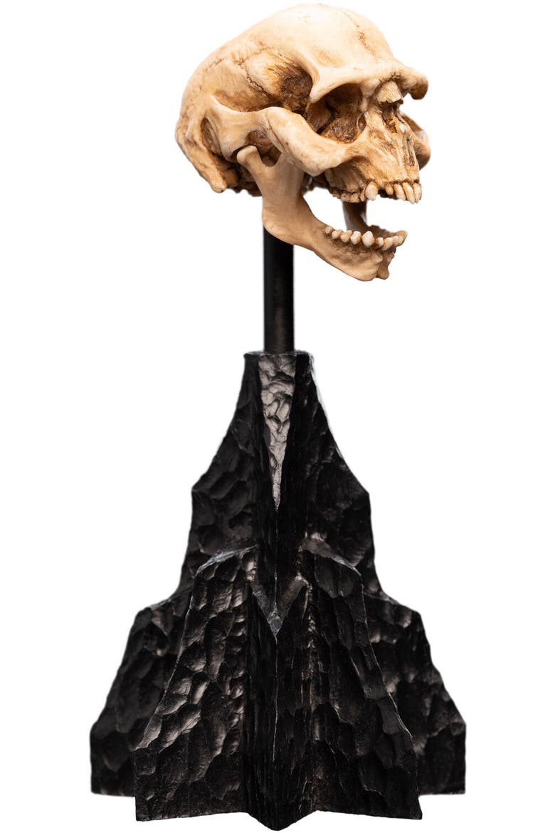 Lotr - Skull Of A Moria Orc Polystone Statue, Alternate, color, Multicolor