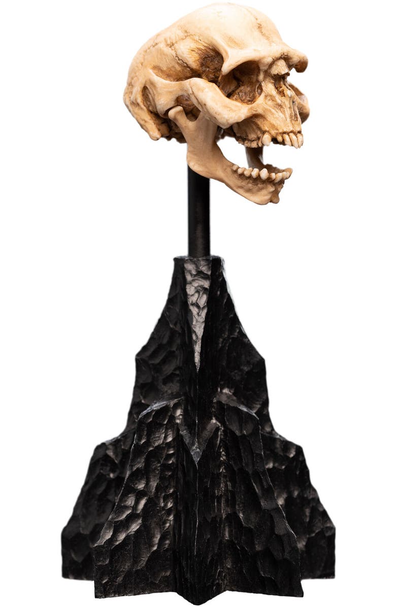 Weta Workshop Lotr - Skull Of A Moria Orc Polystone Statue, Alternate, color, 