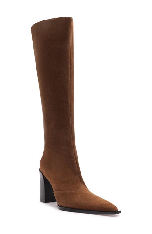 Schutz Raffaela Up Block Pointed Toe Knee High Boot In Brown