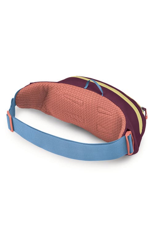 Osprey Daylite Water Repellent Belt Bag