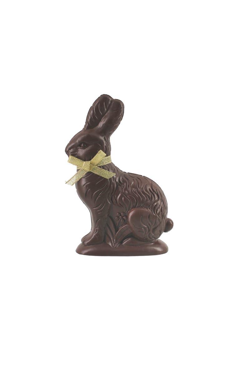 Dark Chocolate Resin Gold Ribbon Easter Rabbit Medium Figurine, Main, color, Brown