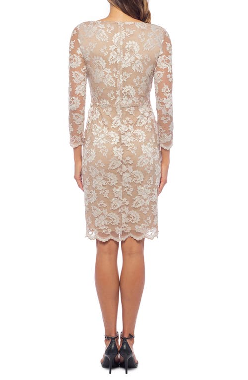 Marina Lace Mini Dress In Champagne