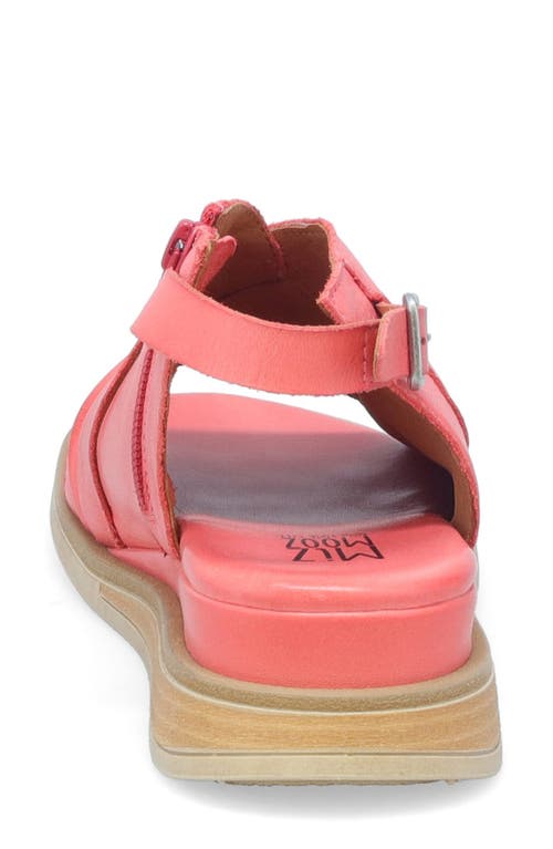 Miz Mooz Conor Slingback Sandal In Azalea