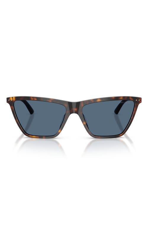 Jimmy Choo 56mm Cat Eye Sunglasses In Havana/dark Blue