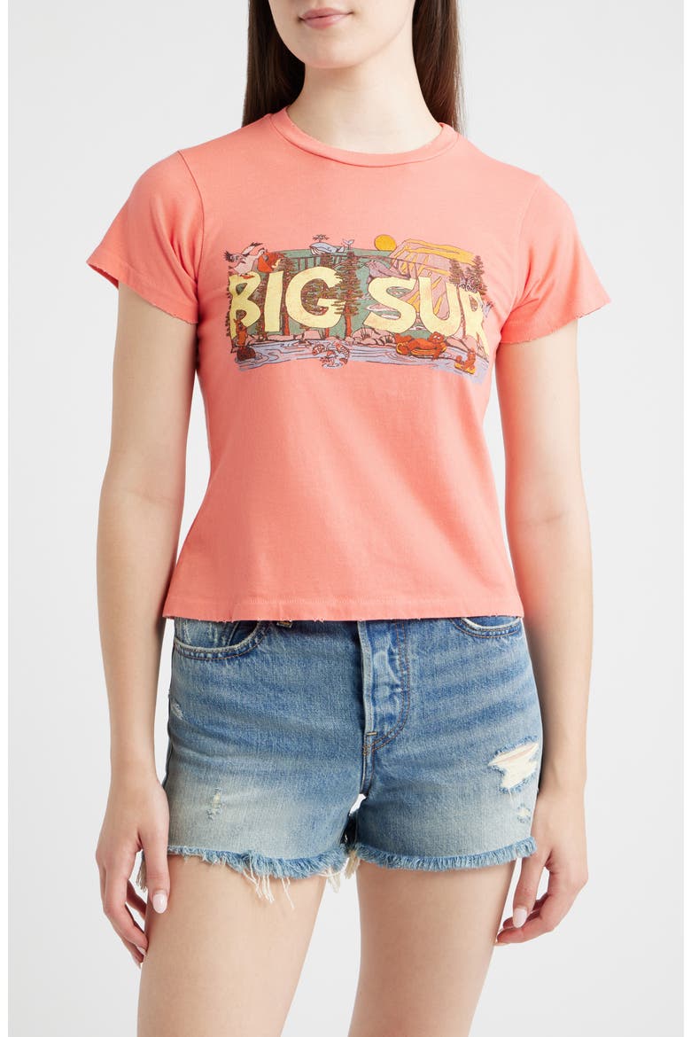 Big Sur Graphic T-Shirt, Main, color, BLOSSOM