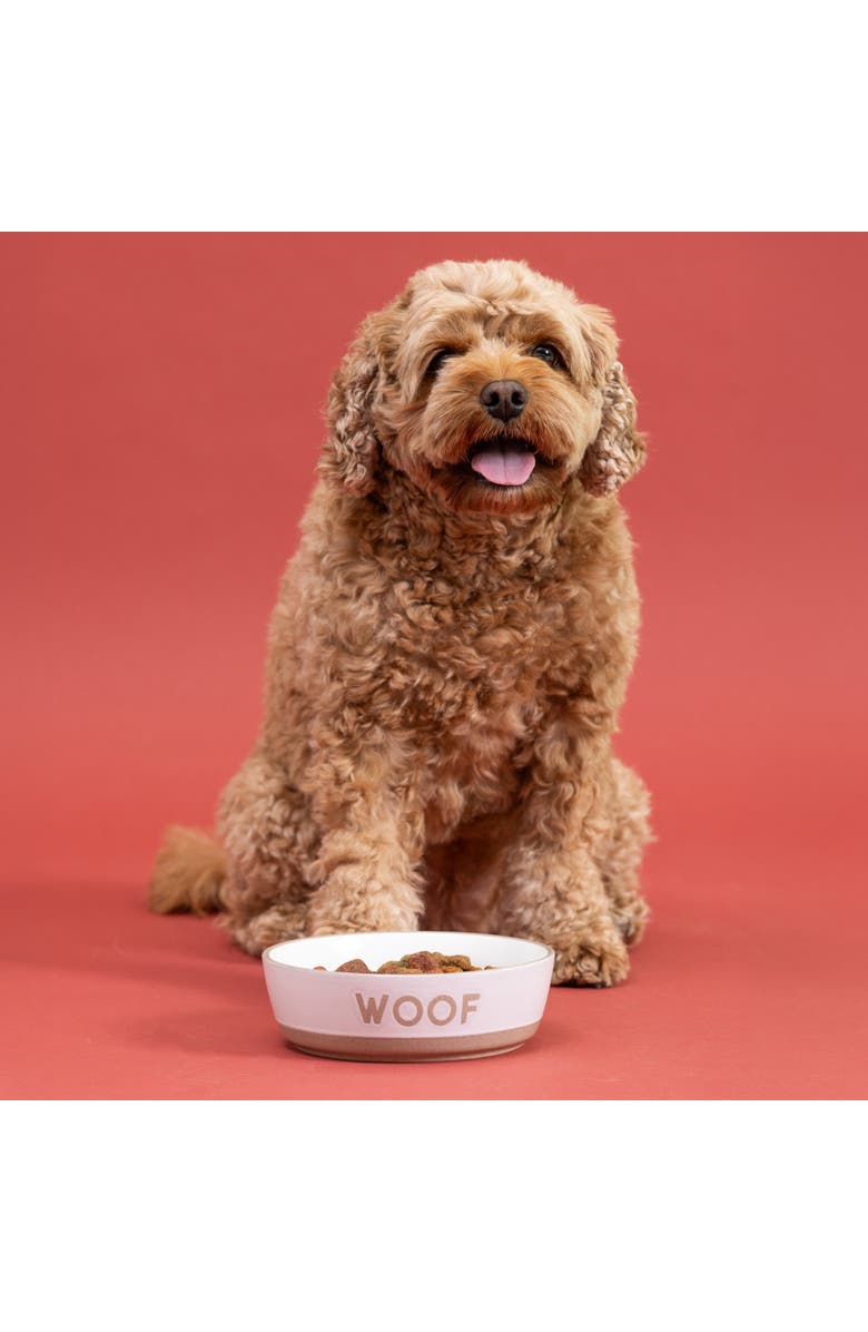 MASON CASH Woof Dog Bowl, 7.9 Inch, 44oz, Alternate, color, Purple