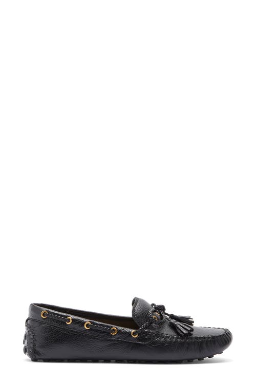 Cole Haan Gissella Croc Embossed Driving Loafer In Black