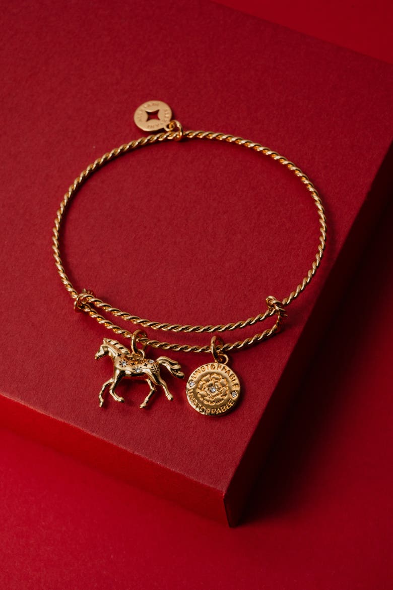 Horse Rope Textured Charm Bangle Bracelet, Alternate, color, Gold