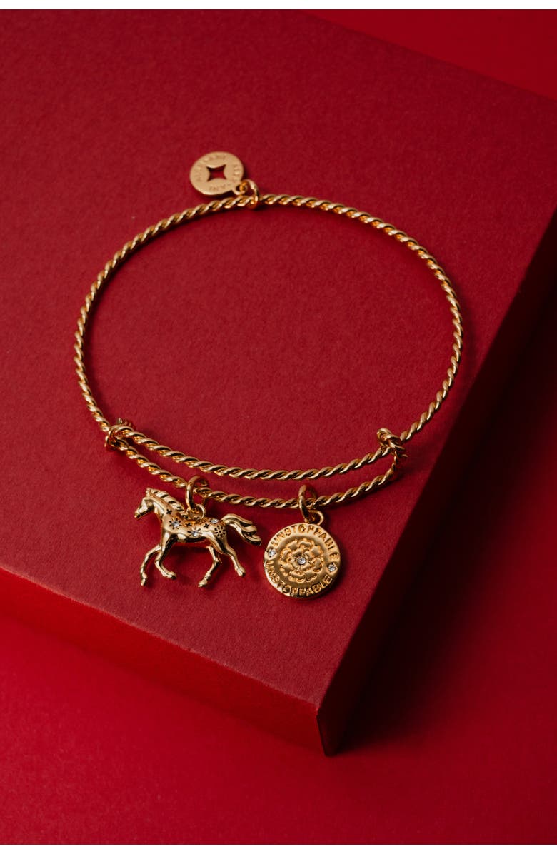 Alex and Ani Horse Rope Textured Charm Bangle Bracelet, Alternate, color, Gold