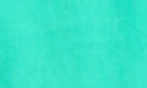 Apny Flutter Sleeve Top In Mint Green
