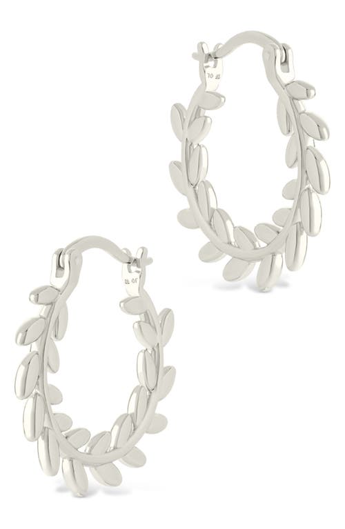 Sterling Forever Effie Vine Hoop Earrings