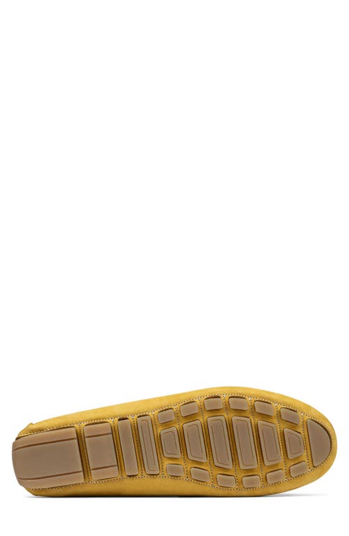 Donald Pliner Bodhi Bit Driving Shoe
